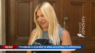 Αρνητικά τα πρώτα δείγματα των ελέγχων για την πανώλη [upl. by Eilagam582]