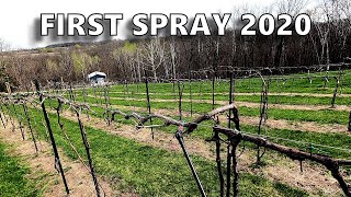 Spraying Dormant Oil in the Vineyard First Spray May 1st [upl. by Hannahoj]