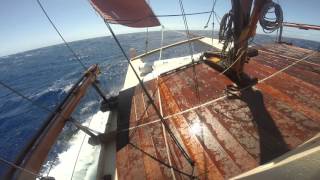 Faafaite Voyaging Whale and Shark Party in French Polynesia [upl. by Yelserp]