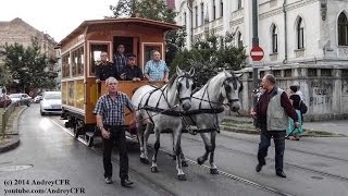 Tramvai tras de cai în Timișoara  PhoenixHeiTramvai 14062014 [upl. by Rivi]