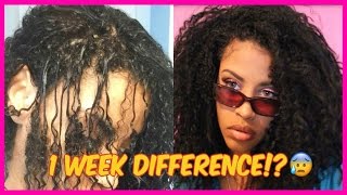 WTF Ruined My Natural Hair  How I got it back [upl. by Pool901]