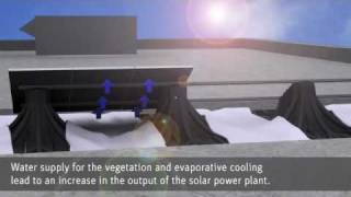 green roof photovoltaic solar power SolarGreenRoof Optigreen green roofs [upl. by Fraser]