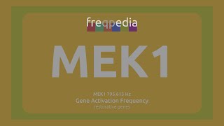 MEK1 cell growth regulation Gene Activation Frequency [upl. by Kurtz]