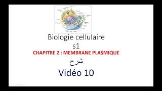 biologie cellulaire s1 vidéo 010  la membrane plasmique شرح [upl. by Dustman]