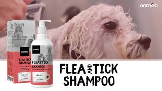 Relieve amp Revitalize Grooming amp AntiItching Shampoo for Happy Pets  Animigo [upl. by Modesta]