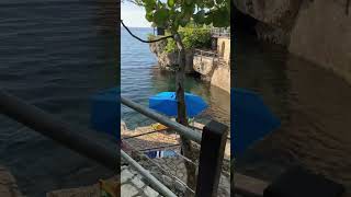 Rockhouse Hotel Negril Jamaica What a beautiful place shorts rockhouse negril jamaica [upl. by Drucilla]