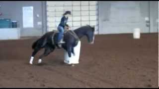 1D Barrel Horse FOR SALE [upl. by Attenna291]