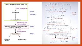 Maillard Reaction  Food Chemistry  Food Safety Officer  CFSO  Food technology [upl. by Nora]