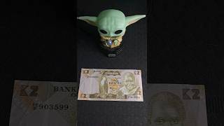 Happy Money Collector I Love Money  money banknotes collector viral shorts [upl. by Irual438]