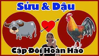 💓 Tuổi Sửu và Tuổi Dậu Có Hợp Tuổi Kết Hôn Với Nhau Không [upl. by Lsiel]