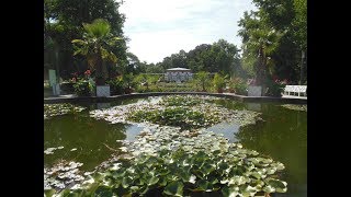 Wasserspielplatz im Palmengarten Frankfurt am Main★Vlog★ [upl. by Aowda]