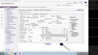 Grupo ProgestTutorial de Estimaciones Sage Despachos [upl. by Falzetta]