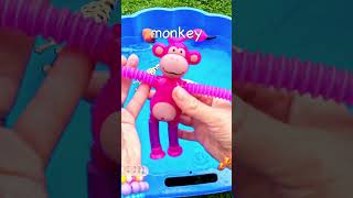 Learn Animal Names for Babies Toddlers Kids Flamingo Chameleon Gecko Giraffe Monkey Alpaca [upl. by Ahsiloc]