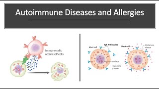 Autoimmune Diseases and Allergies [upl. by Ethelyn]