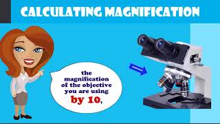 How to Calculate Total Magnification on a Compound Microscope [upl. by Ajuna414]