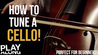 How to Tune a Cello [upl. by Noonan]