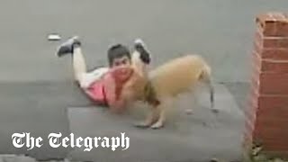 Tenyearold boy mauled by dog in Walsall [upl. by Ynamad]