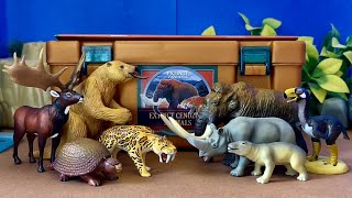 Colorata Extinct Cenozoic Animals Real Figure Box [upl. by Amilas]