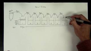 Concentrations Part 5  serial dilution [upl. by Monarski126]