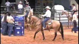 Team Roping Horse  Heeling  Bucks Hancock Dude [upl. by Cosmo801]