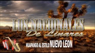 Los Nacionales de Linares El Huitlacoche Huapango [upl. by Nolyd207]