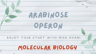 Arabinose Operon  Molecular Biology [upl. by Scheider]