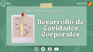 quotDesarrollo de Cavidades Corporalesquot [upl. by Maribel392]