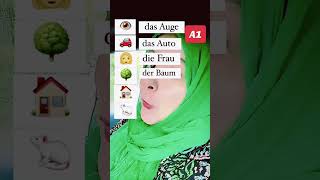 Wortschatz und Aussprache A1 almaniya deutschkurs deutsch german almanya shorts [upl. by Rybma]