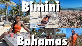 Travel with Me Bimini Bahamas Vlog Hilton Resorts World Dance Trip [upl. by Anne-Marie]