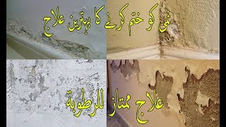 how to treat damp walls before paintingwall painting techniquespaint master junaid [upl. by Elora]