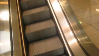 Kone Escalators at Cherryvale mall in Cherry Valley IL [upl. by Arlette410]