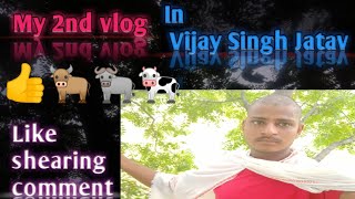 Vijay Singh Jatav 2nd vlog in like a shearing comment on my video 2 [upl. by Hamitaf]