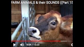 FARM ANIMALS amp their SOUNDS Part 15 Toddlers Preschool K3 [upl. by Bhayani398]