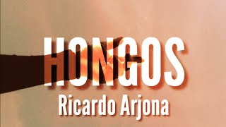 Ricardo Arjona  Hongos LetraLyrics [upl. by Auop437]