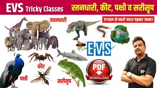 EVS  स्तनधारी कीट पक्षी सरीसृप  MAMMALS  REPTILES  पर्यावरण अध्ययन  By Ratnesh Sir  Study91 [upl. by Miru]