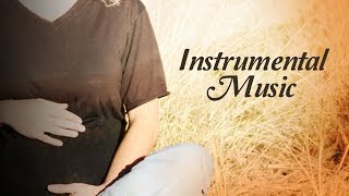 Instrumental Music Garbh Sanskar  Dr Shri Balaji Tambe  Times Music Spiritual [upl. by Honey419]