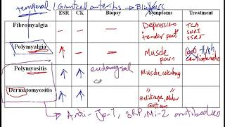 Video 189 Understanding Myopathies Fibromyalgia Polymyalgia Polymyositis and Dermatomyositis [upl. by Loria]