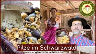 Wo der Schwarzwald am schönsten ist Traum Pilz Korb trotz Trockenheit Pilze sammeln Oktober 2023 [upl. by Yorled]