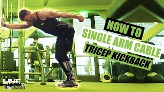 How To Do A SINGLE ARM CABLE TRICEP KICKBACK  Exercise Demonstration Video and Guide [upl. by Tnaryb]