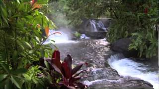 Discover Costa Rica [upl. by Seppala]