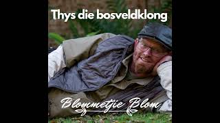 Thys die Bosveldklong Overvaal Stereo onderhoud 9 Sept 2023 [upl. by Blaire]