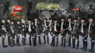 Grupo Lab3r1nto 2020  Corridos De Caballos [upl. by Stone]