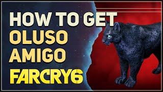 Far Cry  PC  tutorial  How to open locked doors [upl. by Nosirrag]