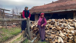 Dağ Köyündeki Yaşlı Bir Ailenin Zorlu Yaşamı Türkiyede Köy Hayatı [upl. by Isolda233]