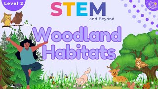 Woodland Habitats KS1 Year 2 Science  STEM Home Learning [upl. by Gussie]