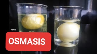 Osmosis with Raisins  experiment class 9The Fundamental Unit Of LifeCellActivity 54 [upl. by Mandler]