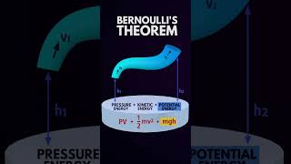 Bernoullis Theorem in Shorts [upl. by Cheryl68]