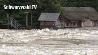 🚨🌊 Hochwasser in Rheinfelden War die alte Rheinbrücke dieses Mal nicht in Gefahr 01062024 [upl. by Maitland]