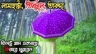 Darjeeling Sightseeing  Lamahatta Tinchuley Takdah Tour Plan  Lepchajagat Tour Plan  Darjeeling [upl. by Ashly800]