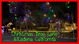 Christmas Tree 🎄 Lane in Altadena California [upl. by Stephenie]